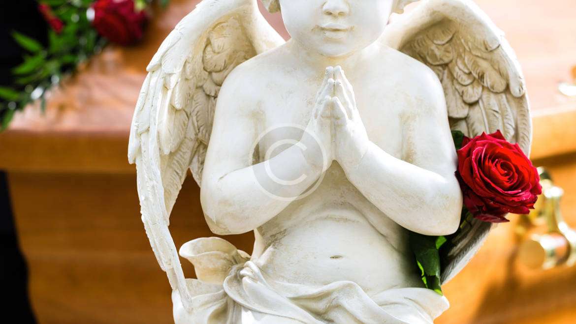 View Obituaries